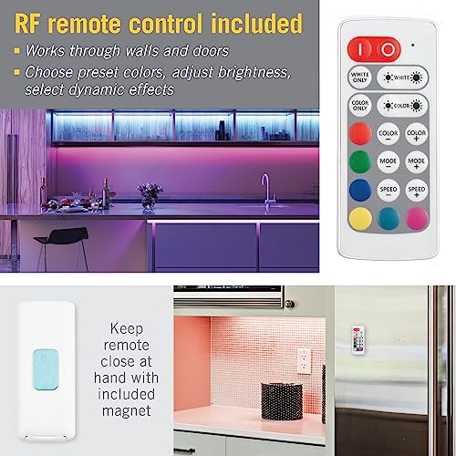 Image of Armacost Lighting 713421 ProLine LED Lighting Controller, White