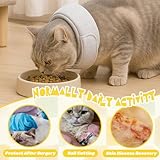 JYNXOR Bequemes Halsband zur Genesung von Haustieren, Halskrause Hund Halskrause Katze,Wundschutz, Antileck-chirurgisches Genesungshalsband für Katzen und Hunde nach Operationen,S,Hellgrau
