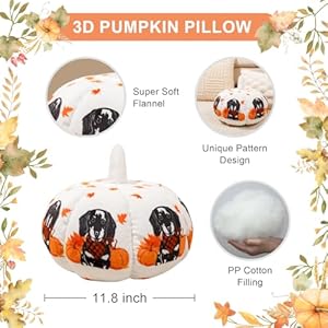   2-Pieces-Pumpkin-Pillow-Dachshund-Pumpkin-Shaped-Pillow-118-Inch-Fall-Harvest-Dog-Throw-Pillows-3D-Shaped-Cushion-Holiday-Decorations-for-Home-Bedroom-Sofa