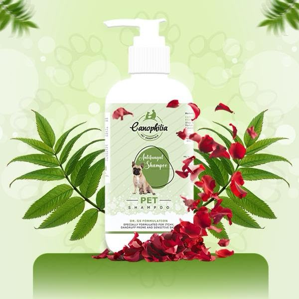 Canophilia Antifungal Pet Shampoo for Dogs & Cats (300 ml) | with Aloe Vera, Neem & Rose Extract | Helps Control Skin Infections, Itching & Odor | Gentle & Safe Formula 2