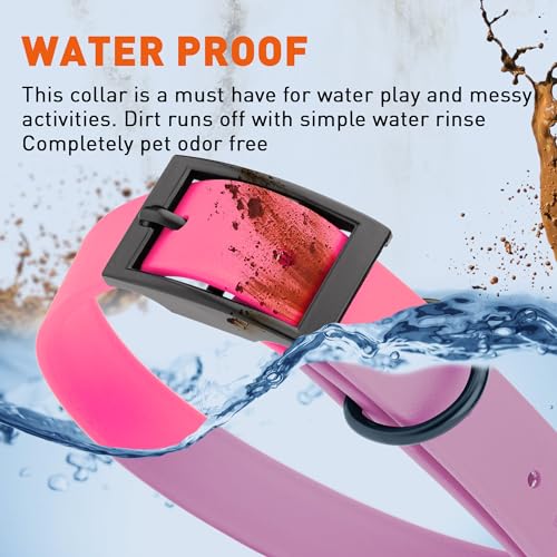 Image of Dogline Biothane Waterproof Dog Collar Strong Coated Nylon Webbing with Black Hardware Odor- Proof for Easy Care Easy to Clean High Performance Fits Small Medium or Large Dogs, Passionfruit Pink