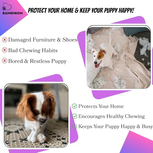 3-Pack Juguetes Mordibles para Perros de Caucho y Nylon miniatura 5