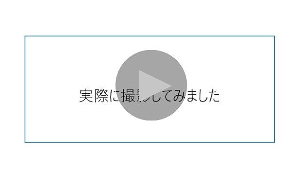 ❤臨床検査用設計の本格派❣200万画質＆最大1000倍率♪❤最新デジタル顕微鏡 Amazon.co.jp: Beaverlab 顕微鏡 1600倍拡大 4インチIPS