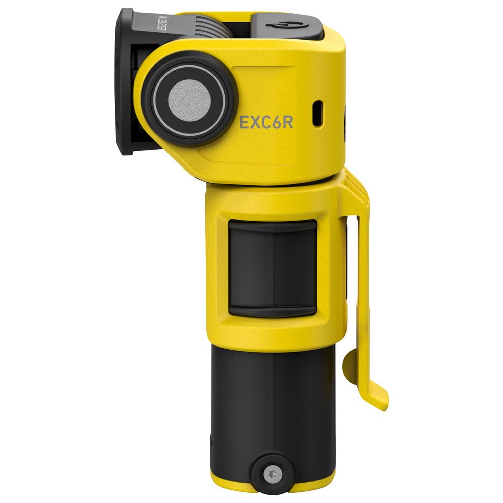 Ledlenser EXC6R ATEX - Lámpara LED de mano con cargador 502406 (linterna de bolsillo de luz), protección IP68/Ex: protección ATEX/Ex Polvo: Ex ib IIIC T135 °C Db/Ex-protección gas: Ex ia IIC T4 Ga