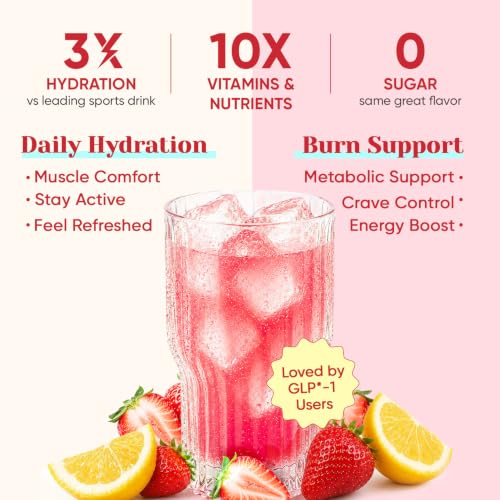 Image of Venture Pal Sugar Free Hydration Packets + Burn Support Electrolytes Powder