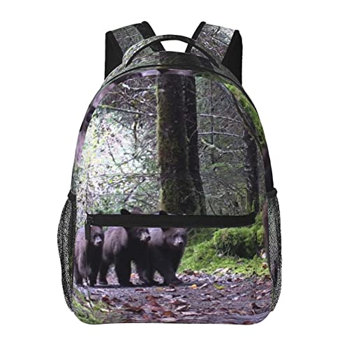 Sac à dos ordinateur portable en toile noire BAFAFA sac de voyage randonnée
