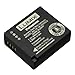 Panasonic DMW-BLE9 Replacement Battery for DMC-GF3