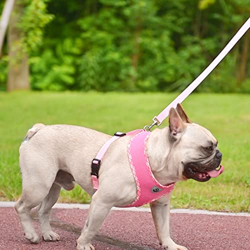 Bingpet Soft Mesh Breathable Pet Vest Harnesses, No Pull & No Choke Dog Harness, Lightweight Adjustable Vest Harness For Small And Medium Dogs #TOP6