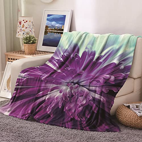 Plaid couverture polaire 100x150cm flannel douce chambre lit