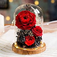 Amazon.co.jp: ドライフラワー プリザーブドフラワー クリアガラス