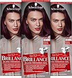 Brillance Glanz-Tönungsgel T888 Dunkle Kirsche Stufe 1 (3 x 60 ml), intensive Fashion-Haarfarbe mit glanzverstärkender Formel, Tönung verleiht dem Haar bis zu 50 % mehr Farbglanz