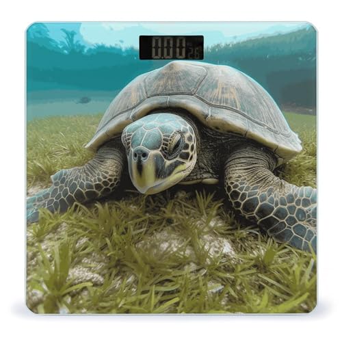 Báscula Digital Big Tortoise de Vidrio Templado y LCD miniatura 1