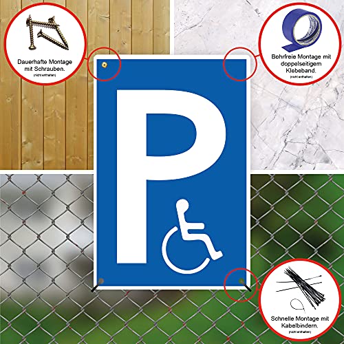 Strobo - 2 pannelli per parcheggio per disabili