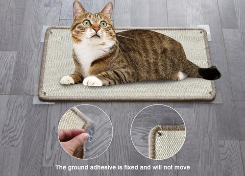 MIAOGE 2 Pezzi [56X28cm] Tappetino Tiragraffi per