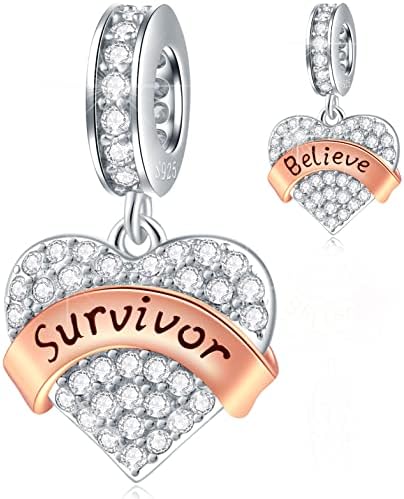 CRISNATA Family Theme Pave Heart Pendant Charms with Clear CZ, 925 Sterling Silver Rose Gold Ribbon Beads, fits European Mothers Day Bracelet, Gifts for Mother/Wife/Friends