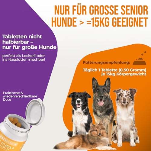 NatiVivo K1 Vitamin B Komplex Hund – hochdosierte Hunde Vitamine mit Vitamin B1, B12 & Folsäure Vitamine für Grosse Hunde  15 kg 120 Premium Tabletten Nicht teilbar Made in Germany