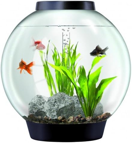 BiOrb Classic 105 L Cold Water - Complete Aquarium Set with Intelligent LED Light