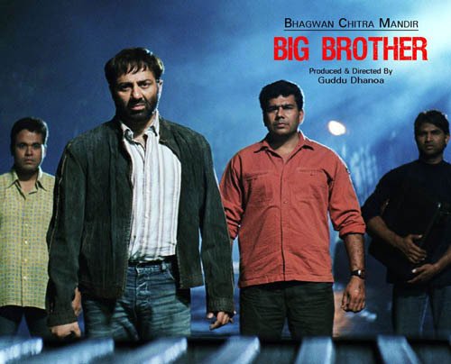 Big Brother - DVD(Hindi Movie/ Indian Cinema/ Bollywood Movie/ Sunny Deol/ Priyanka Chopra)