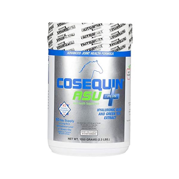 Nutramax-Cosequin-ASU-Plus-1050-Gram Nutramax Cosequin ASU Plus - Joint Health Supplement for Dogs - 1050 Gram