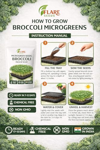 Image of Broccoli Microgreen Seeds, Non-GMO Chemical Free, 50 GM Pack, Rich in Sulforaphane, Vitamins A C K, Fiber, Grown in India