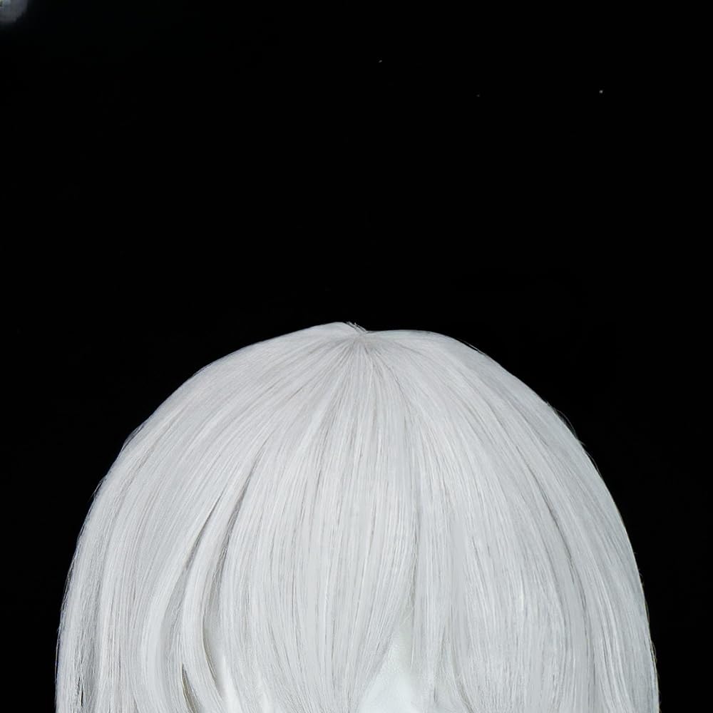 Men's Silver Gray Long Wig with Bangs Straight Synthetic Hair Role Play Anime Cosplay Halloween Costume Wig (Silver)