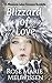 BLIZZARD OF LOVE: A Minnesota Lakes Romance