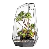 NCYP 16inches Tall Geometric Glass Terrarium, Handmade Irregular Large Flower Pot, Home Garden Decor