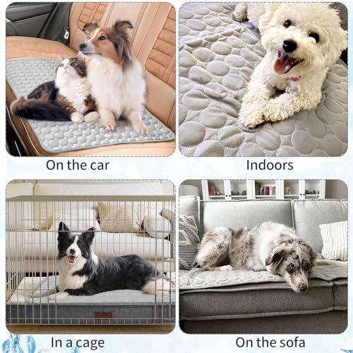 Yegookay Kühldecken Schlafplätze & Möbel für Hunde 62×50cm Katzen Kühlmatte Hund Ohne Gel Kühlplatte Kaninchen Kühlkissen Katze Kühlende Sitzauflage für Autositz Selbstkühlende Hundematte Grau M