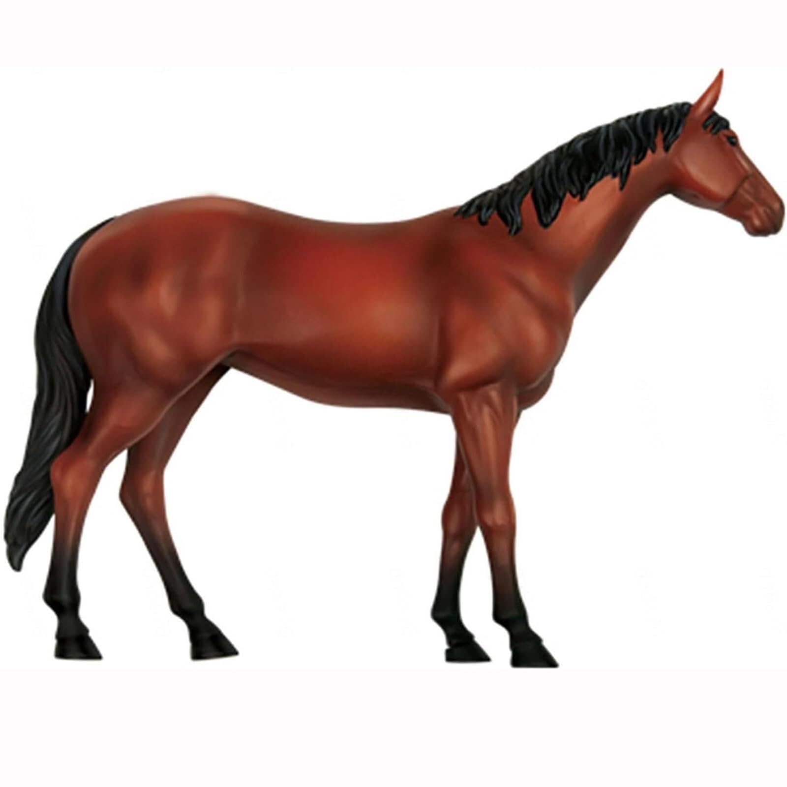 Outils Pédagogiques Modèle Anatomique de Cheval 4D – Échantillon de Squelette Animal Biologie Détachable 26 Pièces pour Clinique Vétérinaire Formation Enseignement Scolaire