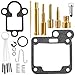 QAZAKY YFM80 Carburetor Rebuild Kit Compatible with Yamaha Raptor 80 YFM80 YFM80R YFM80W Moto-4 Grizzly 80 YFM80 YFM80G YFM80GH Raptor 50 YFM50 YFM50R Badger 80 YFM80 Champ 100 YFM100 Carb Repair Set