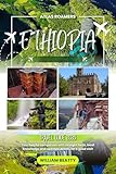 Ethiopia Travel Guide 2026: Your helpful companion with straight facts, local knowledge and updated details for a good visit (Atlas Roamers Book 1)