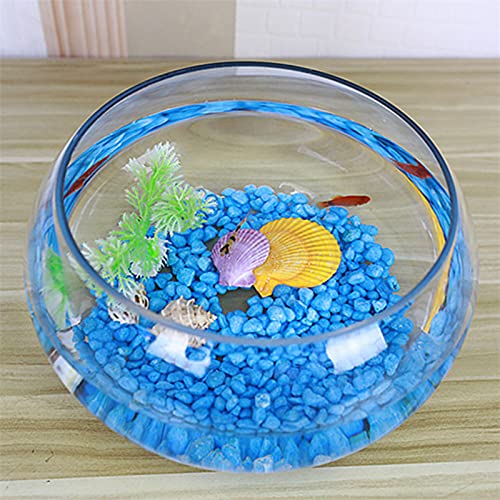 Ciotola di vetro per pesci Accessori per acquario, Cilindro rotondo Acquario rotondo for pesci rossi Acquario ecologico in vetro for pesci Acquario grande for tartarughe Acquario idroponico Acquario i