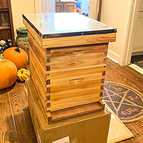 Maybee 10-FRAMEHIVE-2 Bee Hive 10 Frame Bee Hives And Supplies Starter Kit, Bee Hive For Beginner, Honey Bee Hives Includes 1 Deep Bee Boxes thumb #5