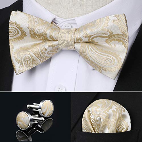 Image of HISDERN Bow Ties for Men Pretied Bow Tie Set Paisley Classic Bowties and Pocket Square Cufflinks Set for Wedding Party