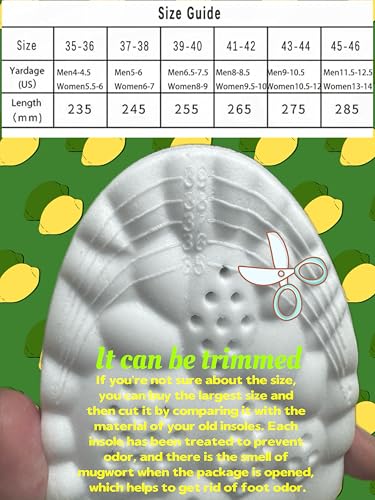 Insoles for Women Man,Cloud Soles for Men Women,4D Cloud Soles for Men,Anti Fatigue, Shock Absorption, Foot Pain Relief (Gray, S)