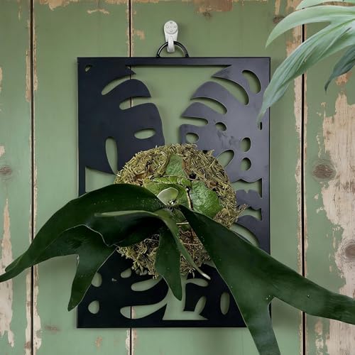 Présentoir mural pour pot de fleurs extérieur support suspendu