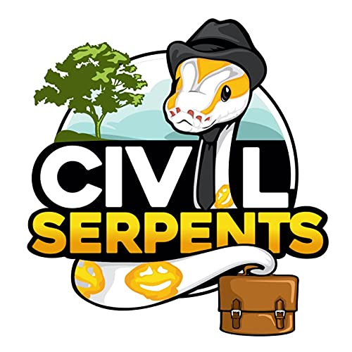 Anas Alwan of Civil Serpents