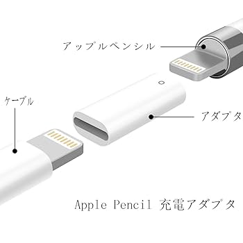 Apple Pencil アップルペンシル 第一世代 交換用先端・変換アダプタ Apple Pencil 充電コネクタ 第1世代 Lightningアダプタ メス