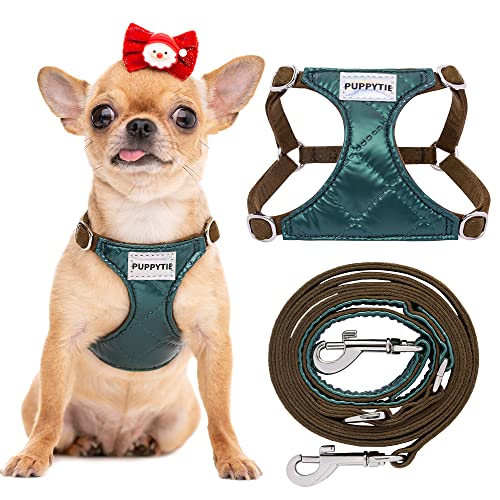 No Pull xs Dog Harness with Multifunction Dog Leash,Soft Adjustable No Choke Escape Proof Pet Harness Vest,Glossy Dark Green ,XXS