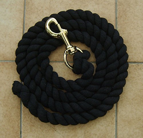 Generic dyhp-a10-code-4239-class-1 -- by top Horse...