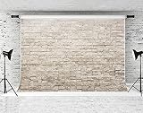 Kate 10x10ft Brick Wall Backdrop for Photography Classic Brick Photo Backdrop Portrait Photo Studio