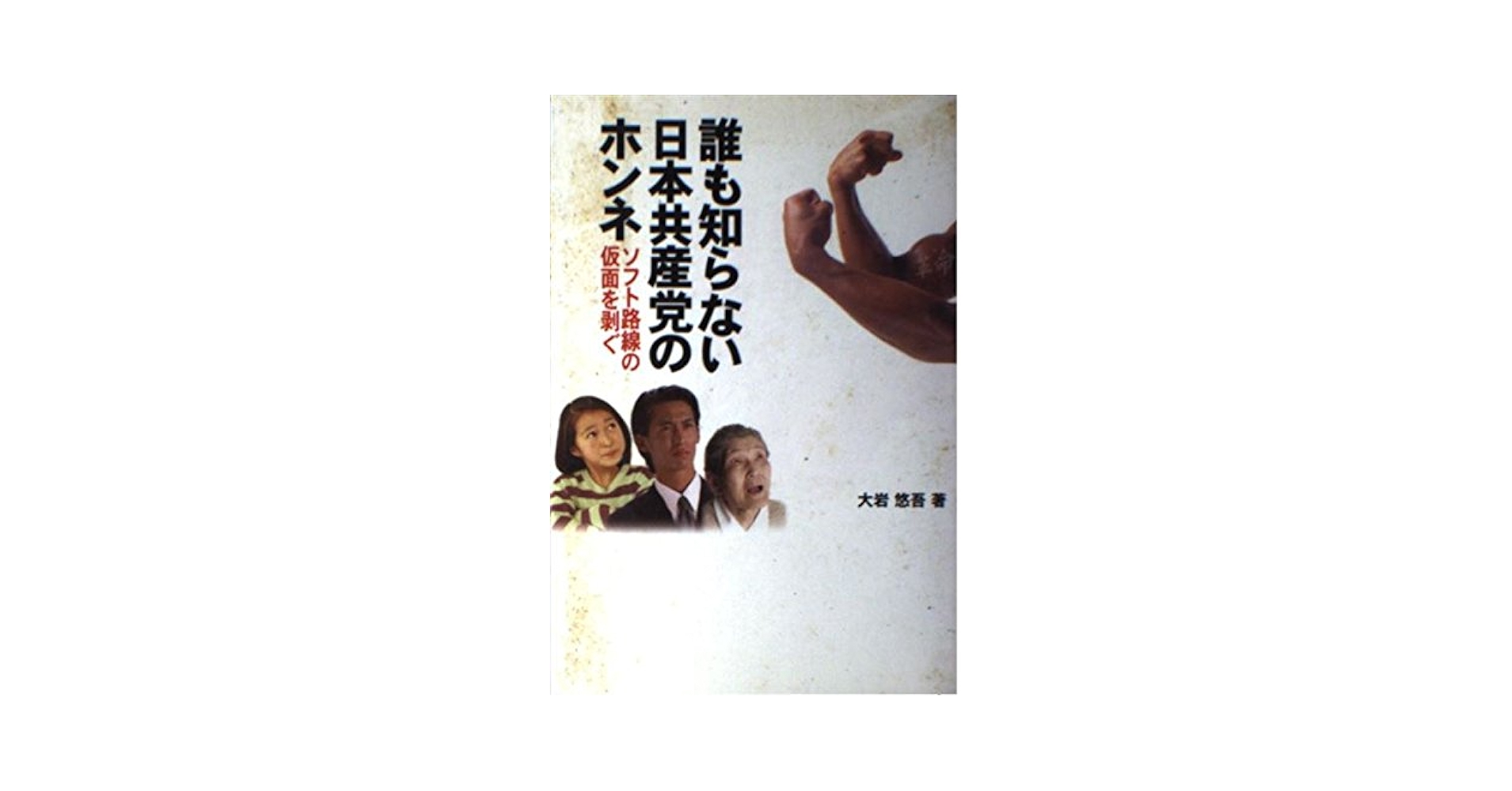 不景気が終わらない本当の理由 不景気が終わらない本当の理由 / ヴェルナー，リチャード・A