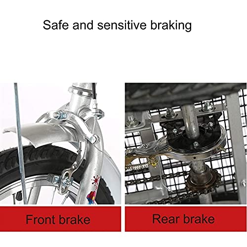 Dreirad für Erwachsene Dreirad für Erwachsene 1-Gang-Trikes 20 Zoll 3-Rad-Fahrräder Dreirädrige Fahrräder Cruise mit Rückenlehne Einkaufskorb für Senioren, Damen, Herren (Rot) – Bild 4