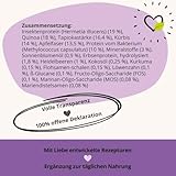 BugBell 7kg Premium Trockenfutter, Magenschonend, Fettreduziert, für Probleme mit der Bauchspeicheldrüse oder Leber, Löwenzahn, Mariendistel, Präbiotika & Probiotika