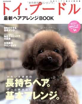 リクエストトイプードル作品 今日はYouTubeに折り紙1枚で作れる【トイプードル】の折り方をアップ