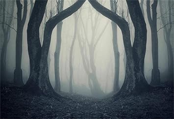 Amazon 新しい9x6ft霧の森の背景暗い森裸木写真の背景マジックグローブ吸血鬼魔女ウィザードソーサラーゴースト悪怖いハロウィーンパーティーの装飾写真スタジオ小道具ビニールバナー Wangzuo バックペーパー 背景布 Amazon 新しい9x6ft霧の森の背景暗い森裸木写真の背景マジックグローブ吸血鬼魔女ウィザードソーサラーゴースト悪怖いハロウィーンパーティーの装飾写真スタジオ小道具ビニールバナー Wangzuo バックペーパー 背景布