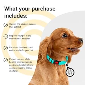 Qr code dog tag pet id tags for dogs  silent dog tags personalized for pets  qr tag to pet online profile  stainless steel dog tag with rubber silencer im lost    cucciolini doodles