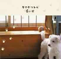 くり　もじゃ犬　うたたね　白オレンジ くり もじゃ犬 うたたね 白オレンジ Amazon.co.jp: 白い犬