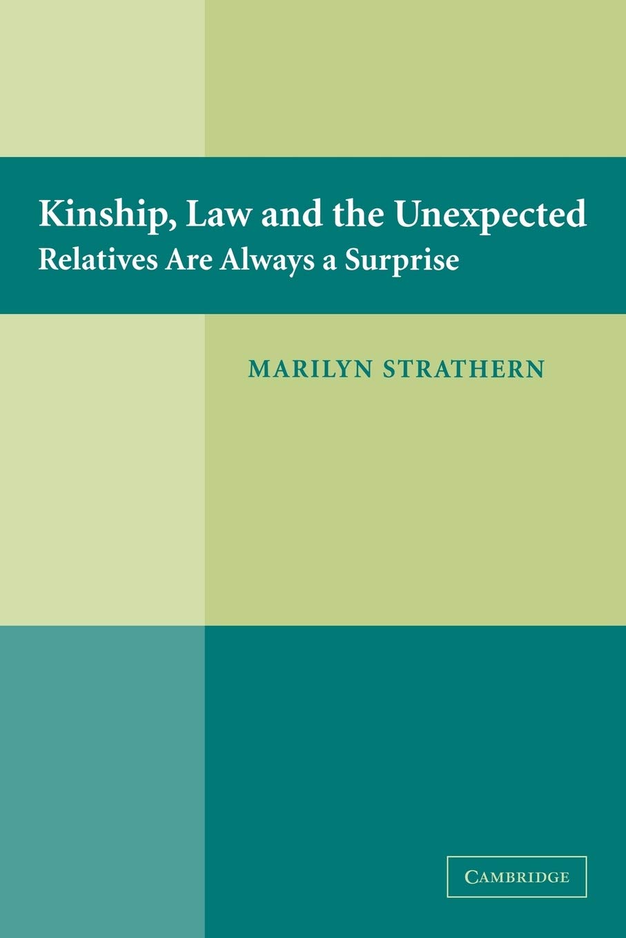 Kinship, Law and the Unexpected: Relatives are Always a Surprise