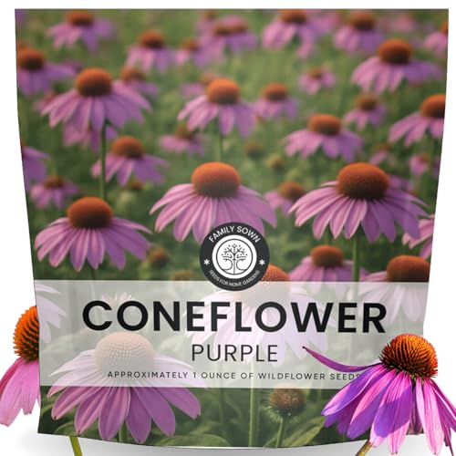 Purple Coneflower 7 000 Seeds for Planting 2026 Season 1 Ounce Pouch